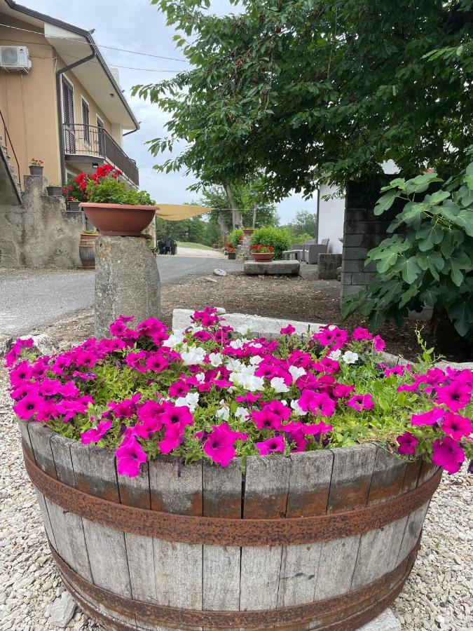 B&B Relais Aeclanum Mirabella Eclano Luaran gambar